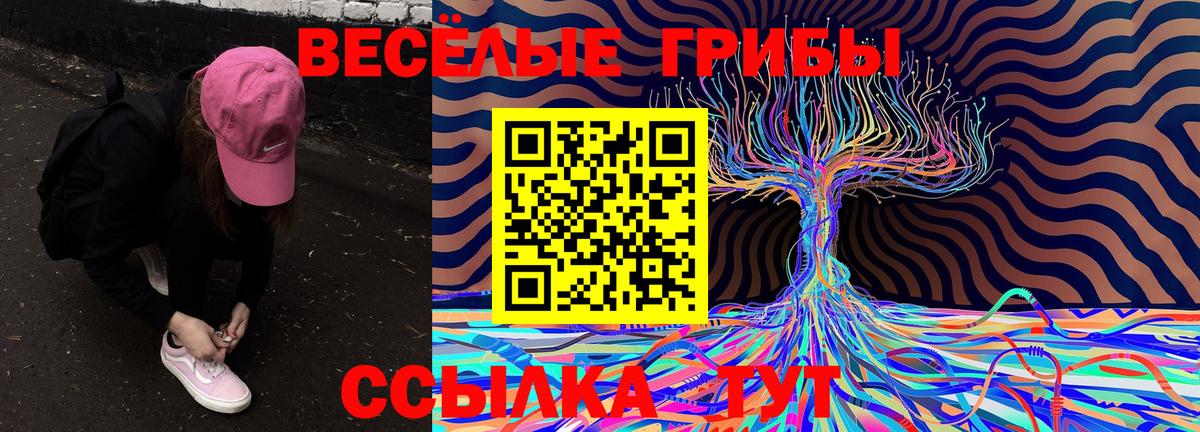 Псилоцибиновые грибы Psilocybine cubensis Ростов Великий